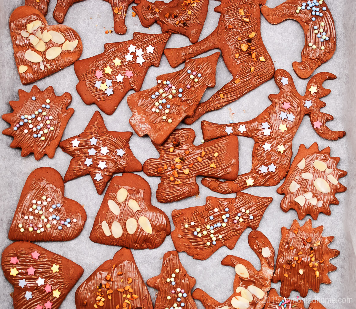 home-made gingerbread cookies